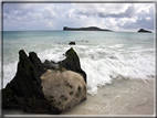 foto Isole Galapagos